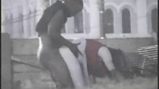 يجد اللص لاسي لينون ملابس افلام سكس اجنبي مترجم جديد وطهاة مفيدة