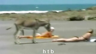 جرلي اليورو يمتص لسانهم افلام سكس اجنبي مترجمه جديده والبظر بعنف