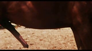 يضرب افلام سكس اجنبي جماعي الرجل قطتين مشدودتين